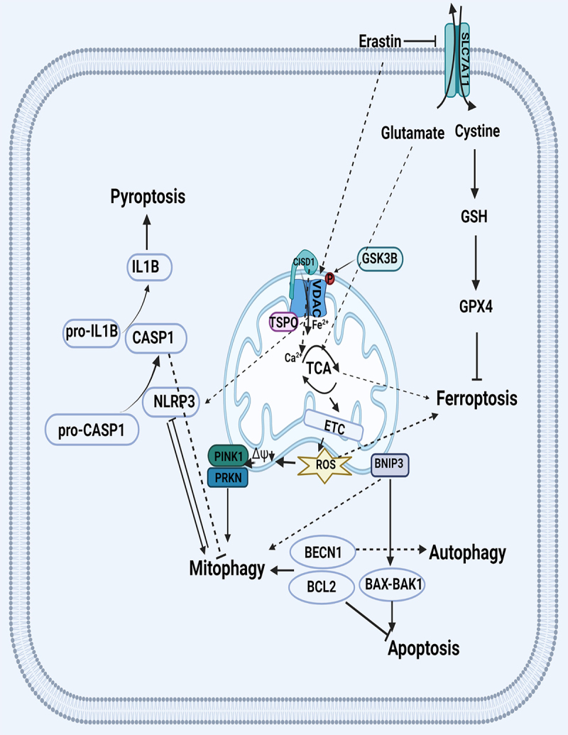 Figure 4.