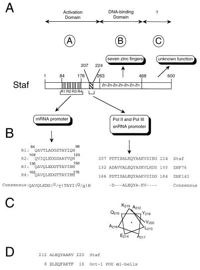 FIG. 8