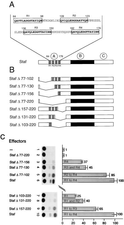 FIG. 6