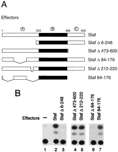 FIG. 5