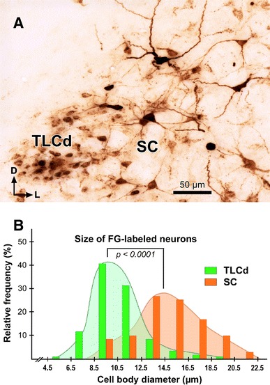 Fig. 10