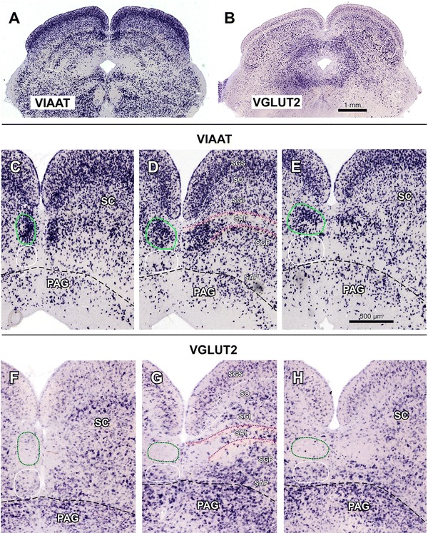 Fig. 6