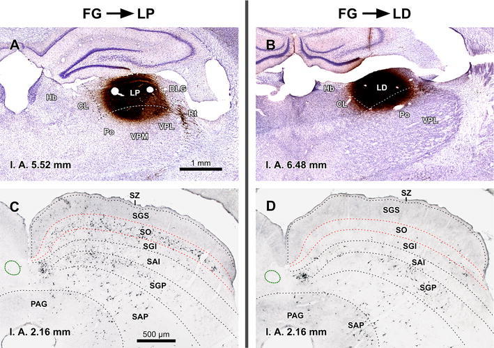 Fig. 11