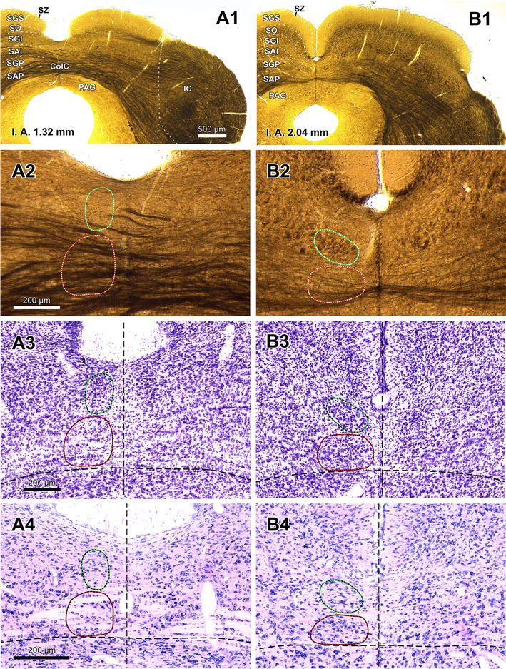 Fig. 2