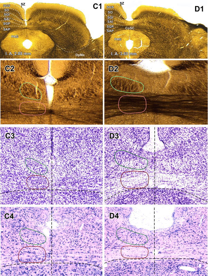 Fig. 2