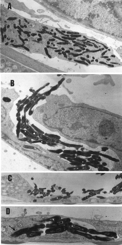 FIG. 6