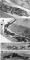 FIG. 6