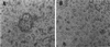 FIG. 8