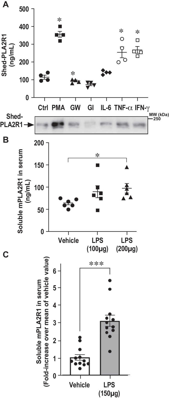 Figure 10