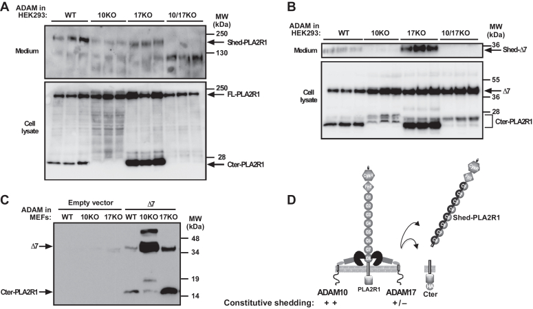 Figure 6