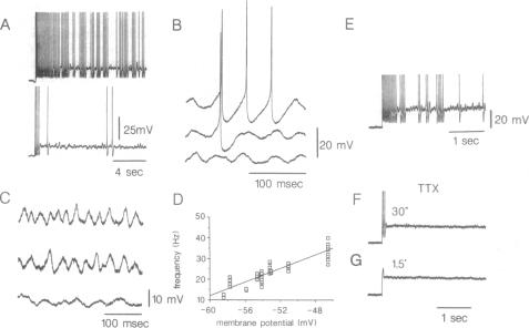 graphic file with name pnas01053-0227-a.jpg