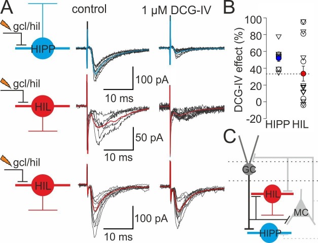 Figure 3—figure supplement 1.