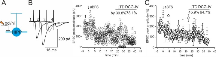 Figure 3—figure supplement 2.