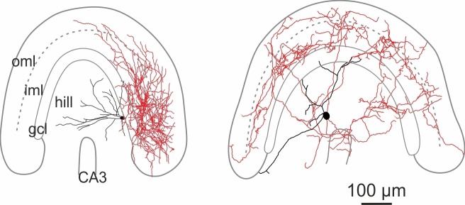 Figure 1—figure supplement 2.