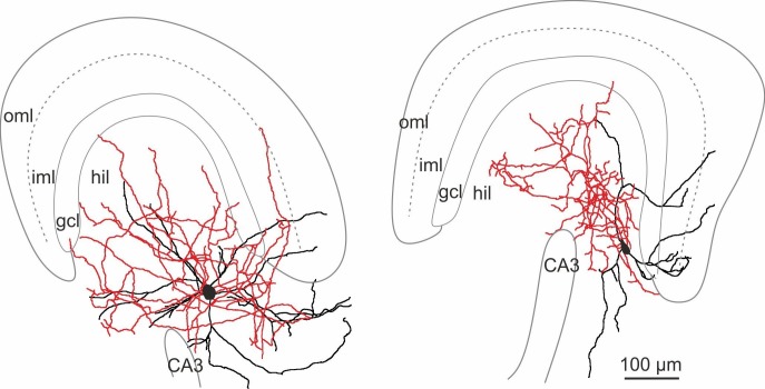 Figure 2—figure supplement 1.