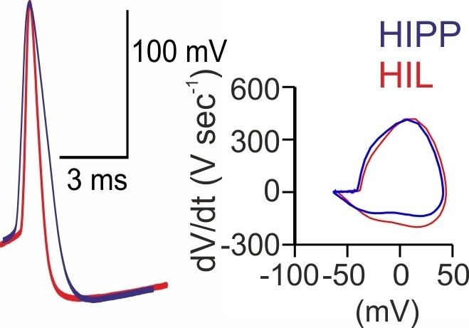 Figure 1—figure supplement 3.