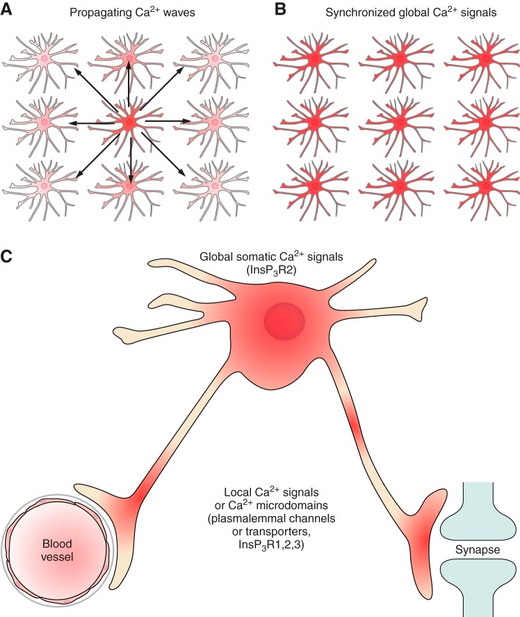 FIGURE 23.