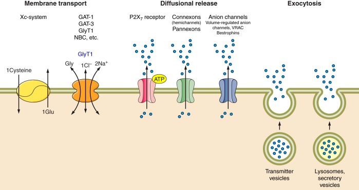 FIGURE 27.