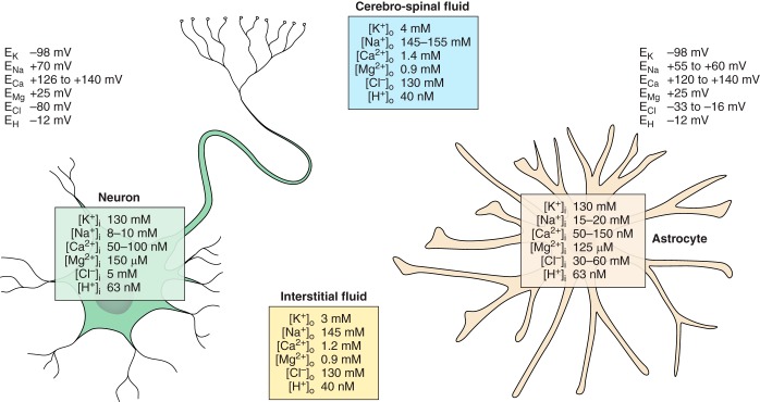 FIGURE 11.