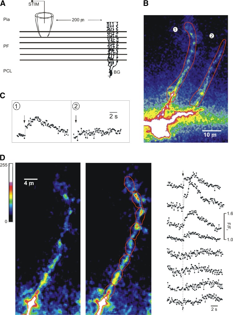 FIGURE 21.