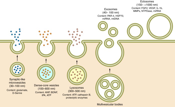 FIGURE 28.