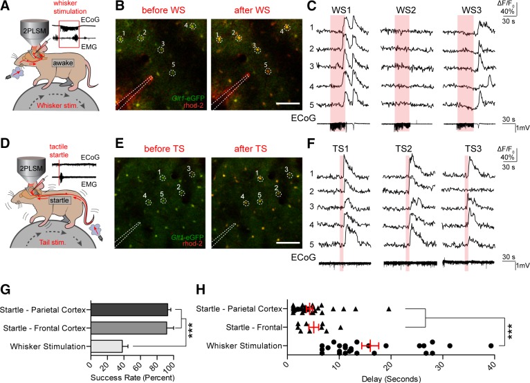 FIGURE 22.