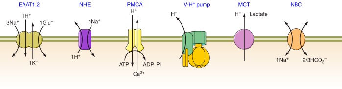 FIGURE 19.