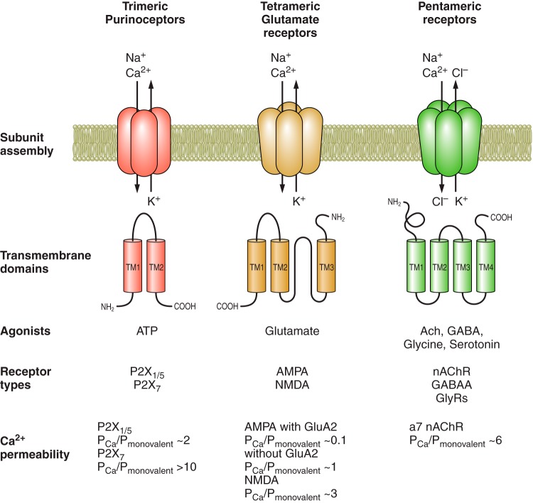 FIGURE 13.