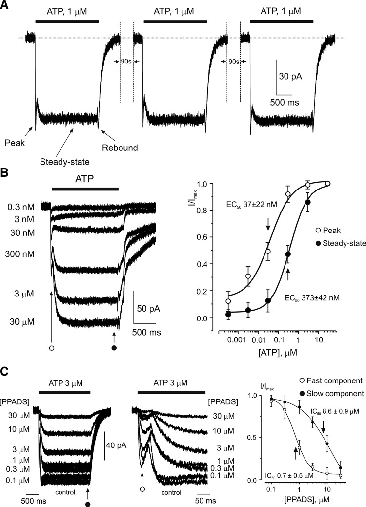 FIGURE 14.