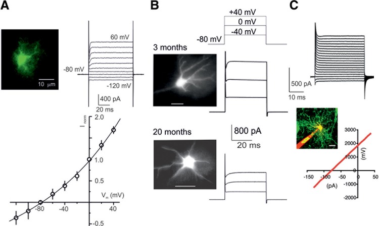 FIGURE 12.