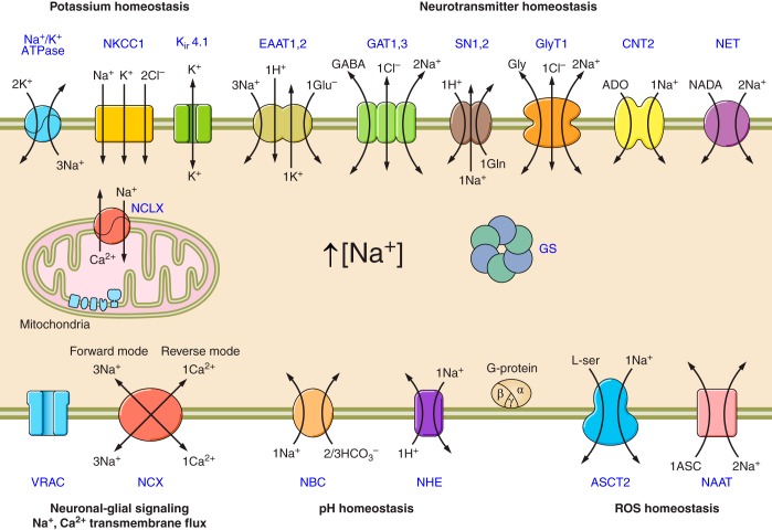 FIGURE 26.