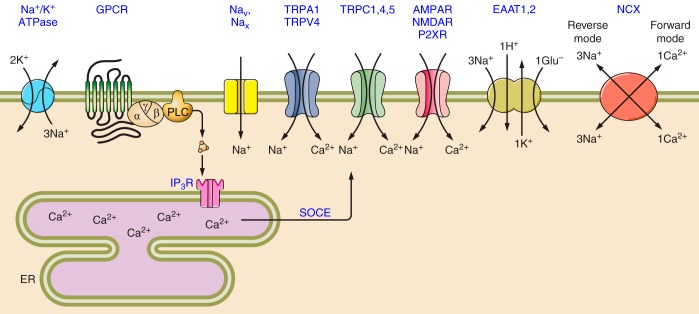 FIGURE 24.