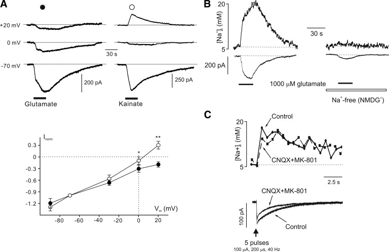 FIGURE 25.