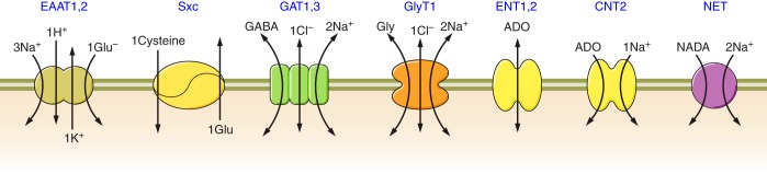 FIGURE 18.