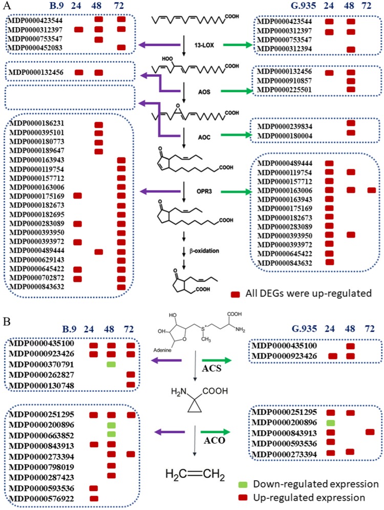 Fig. 4