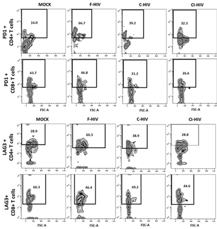 Figure 5—figure supplement 1.