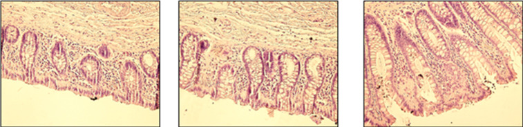 Figure 1—figure supplement 1.