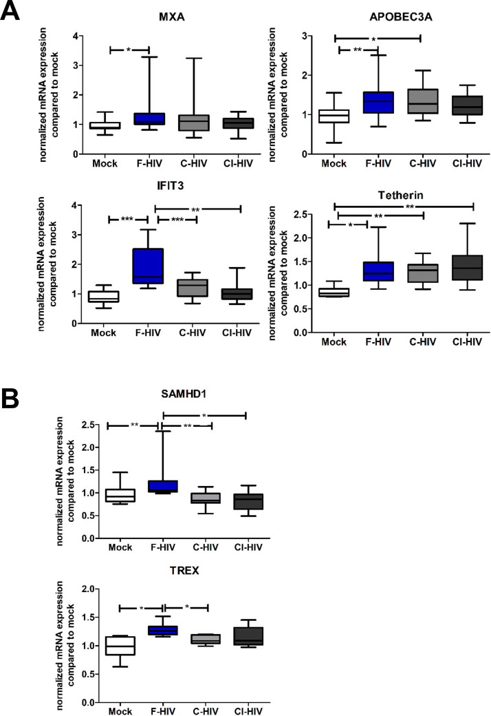 Figure 1—figure supplement 3.