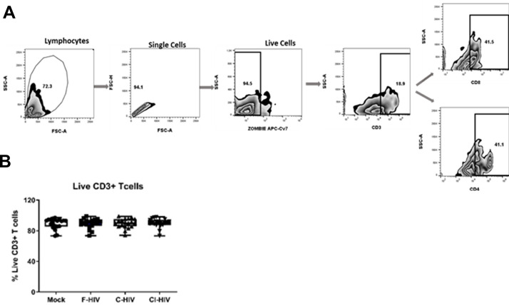 Figure 3—figure supplement 1.