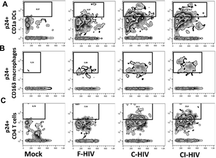 Figure 2—figure supplement 1.