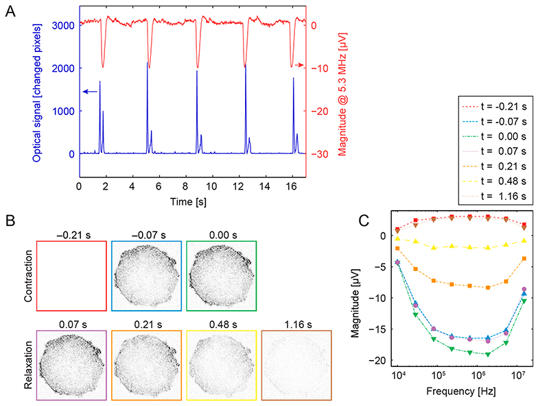 Figure 4