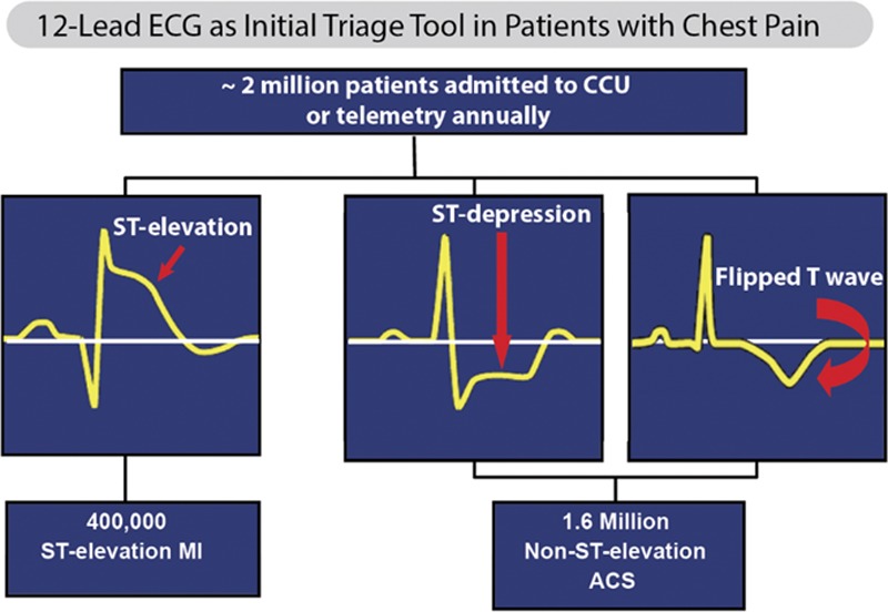 FIGURE 1.