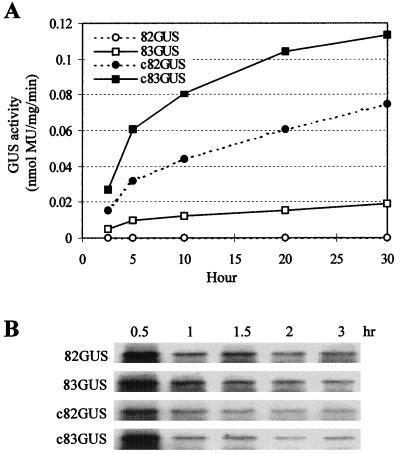 FIG. 3