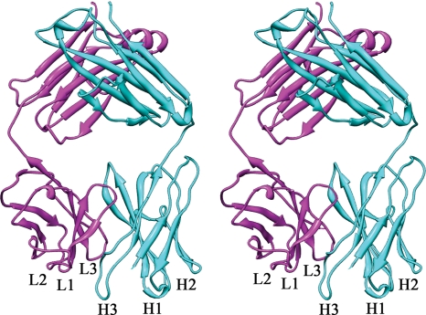 FIG. 2.