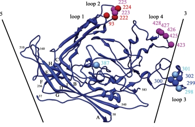 FIG. 6.