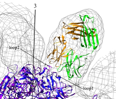 FIG. 8.