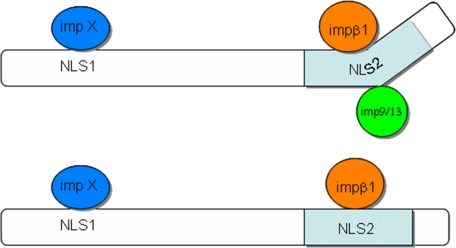 FIGURE 9.