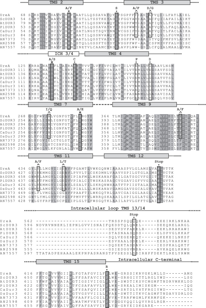 Figure 1.