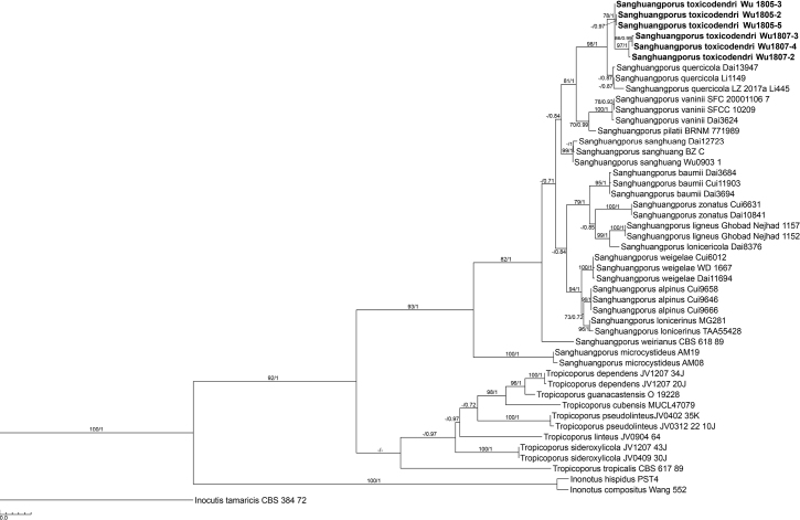 Figure 1.