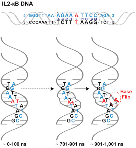 Figure 6.